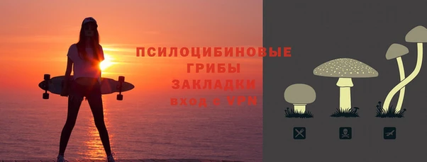 твердый Рославль