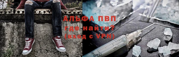 спиды Алзамай