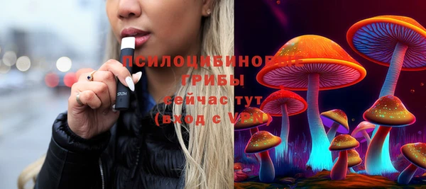 спиды Алзамай