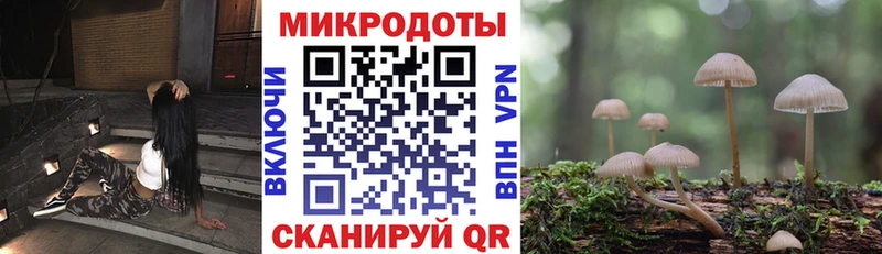 Псилоцибиновые грибы GOLDEN TEACHER  Серов 